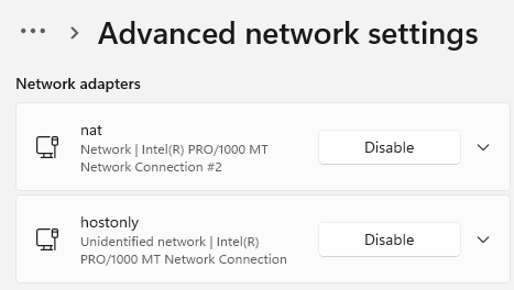 Windows 11 Disable Nat Adapter